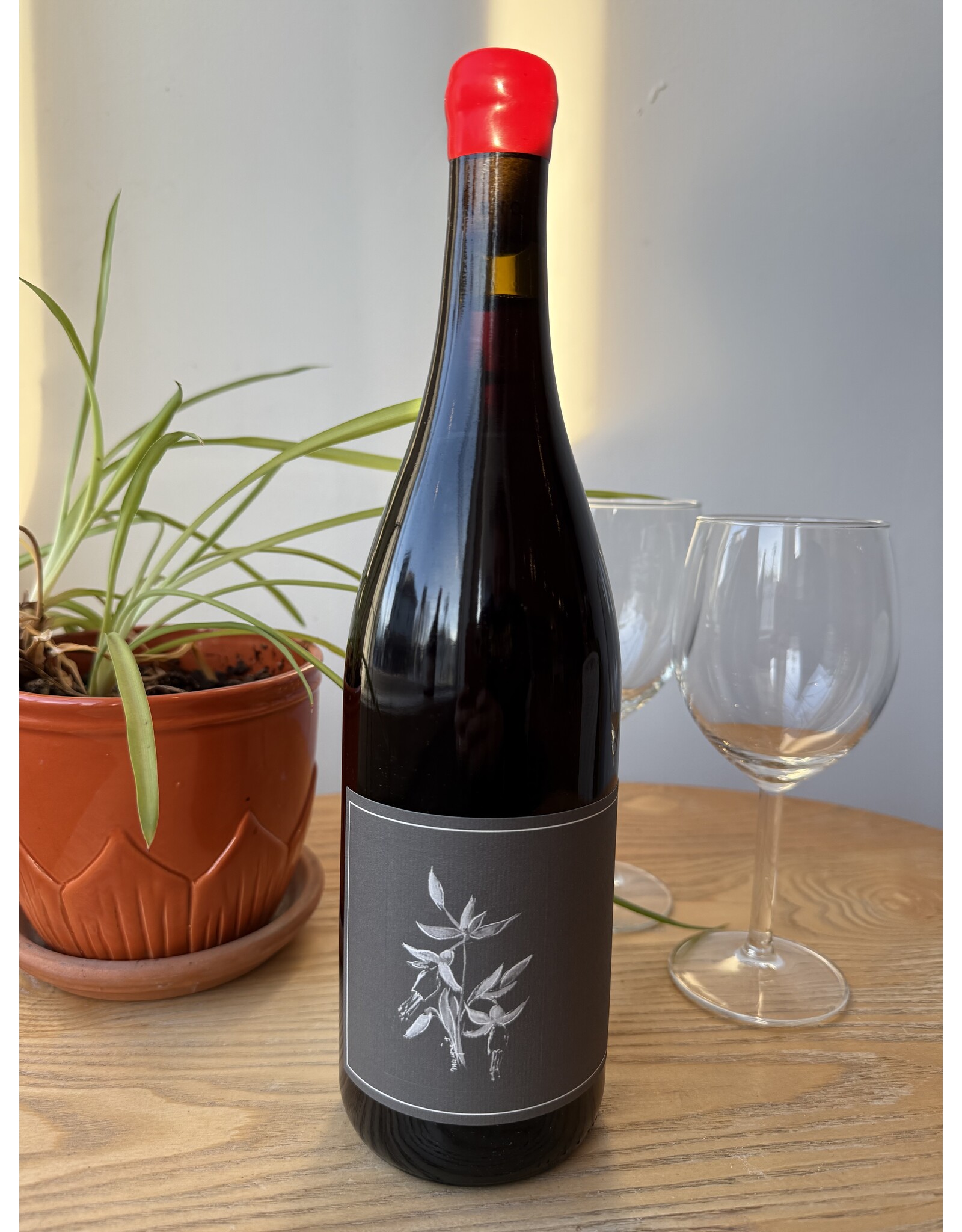 Arnot Roberts North Coast Trousseau 2022