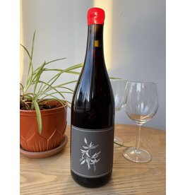 Arnot Roberts North Coast Trousseau 2022