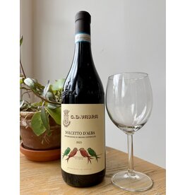 Vajra Dolcetto d'Alba 2023