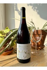 Amevive Gamay Santa Barbara 2024