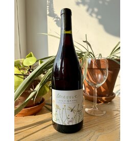 Amevive Gamay Santa Barbara 2024