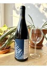 Emme Wines "For You, Anything" Ricetti Vineyard Carignan 2023