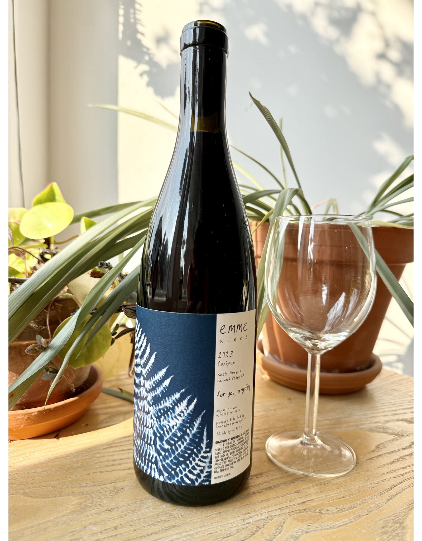 Emme Wines "For You, Anything" Ricetti Vineyard Carignan 2023
