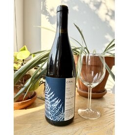 Emme Wines "For You, Anything" Ricetti Vineyard Carignan 2023