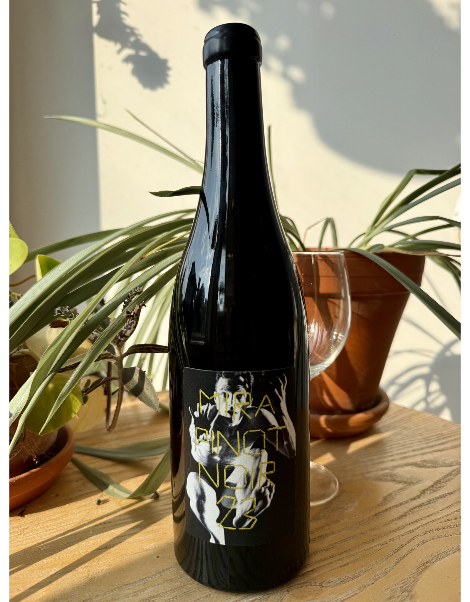 MIRA Pinot Noir 2023