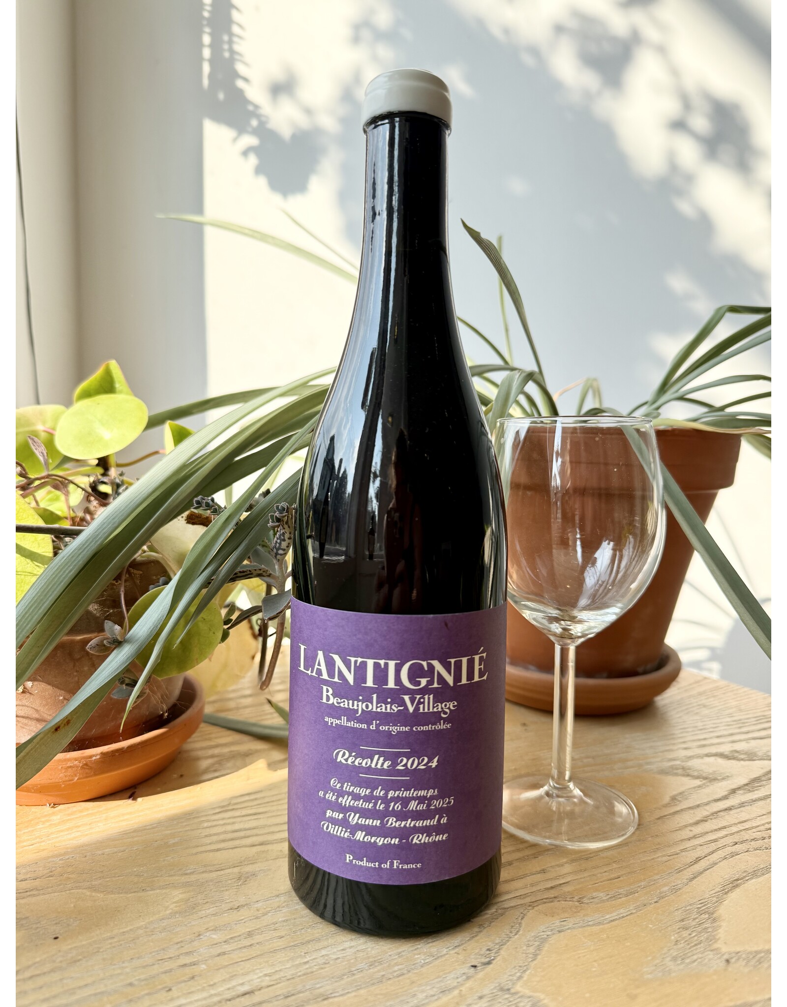 Yann Bertrand Beaujolais Villages ‘Lantignie’ 2024
