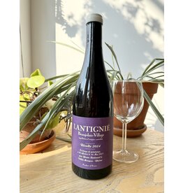 Yann Bertrand Beaujolais Villages ‘Lantignie’ 2025
