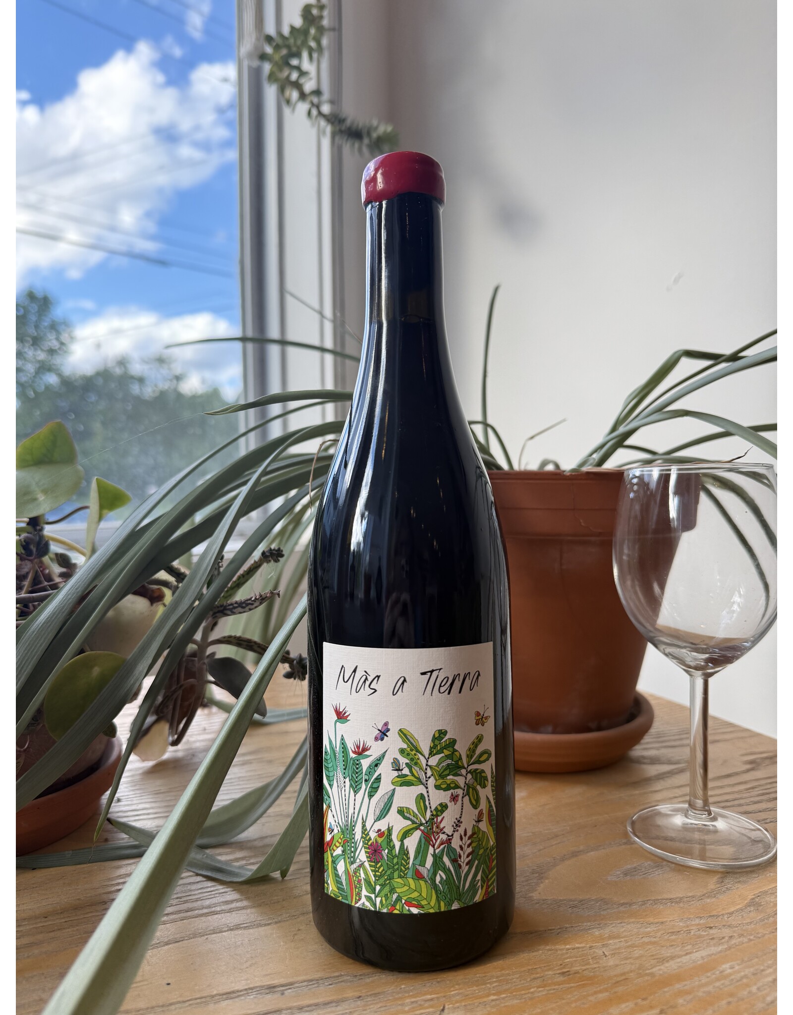 Mas a Tierra Pinot Noir Coteaux Bourguignons 2022