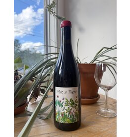 Mas a Tierra Pinot Noir Coteaux Bourguignons 2022