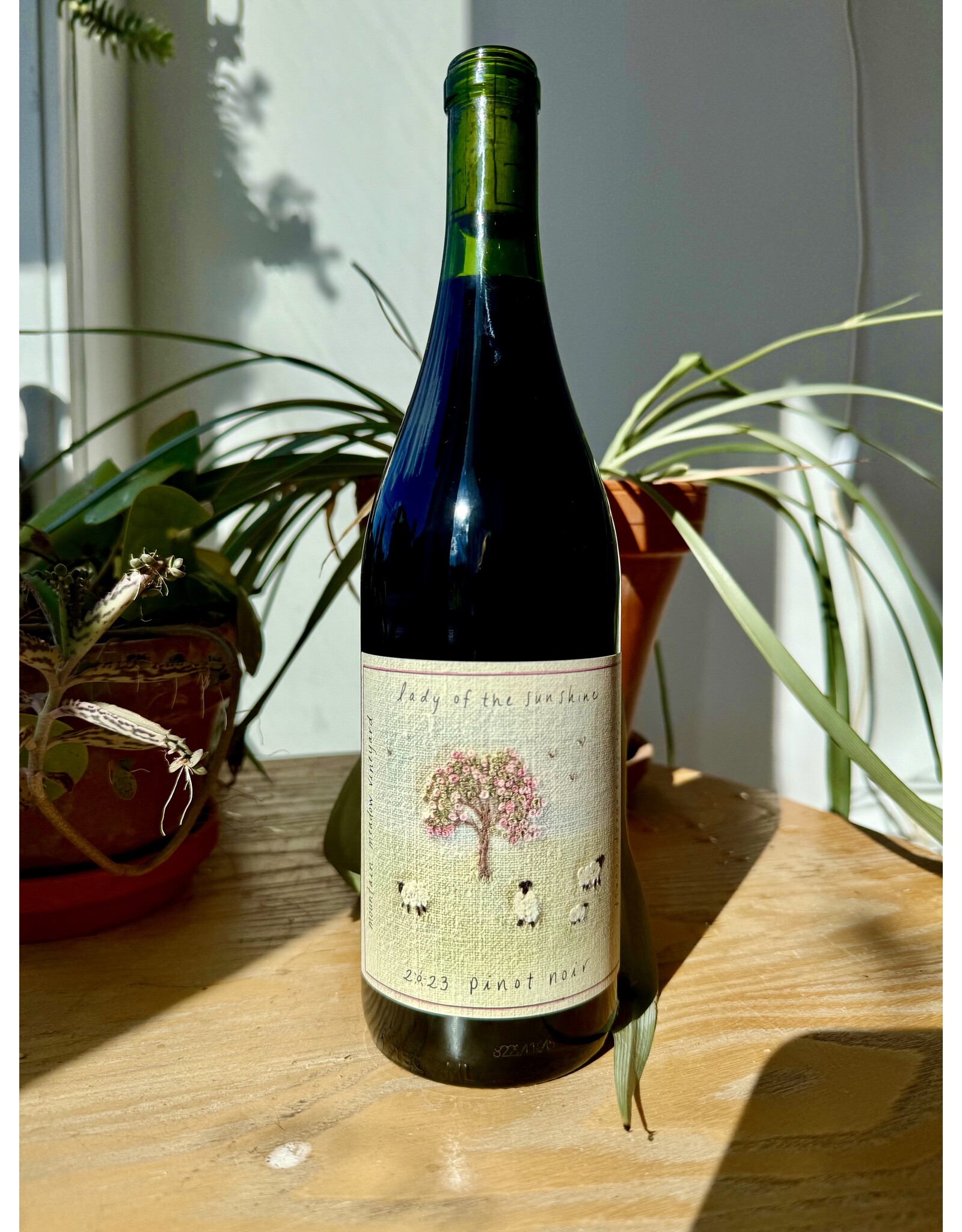 Lady of the Sunshine Mountain Meadow Vineyard Pinot Noir 2023