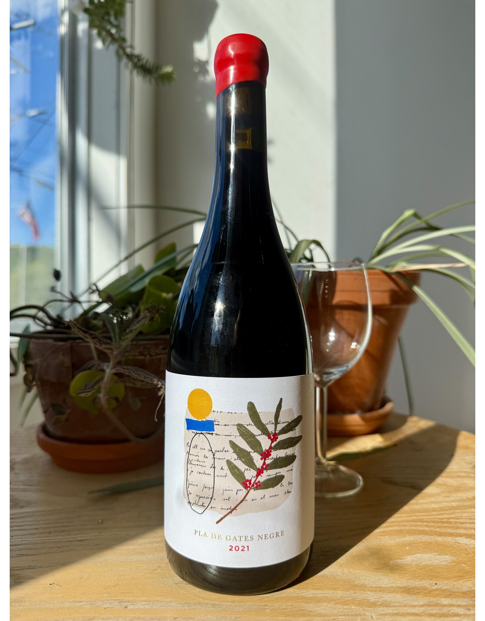 Anna Espelt Pla de Gates Garnacha Negre 2021