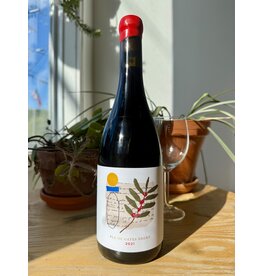 Anna Espelt Pla de Gates Garnacha Negre 2021
