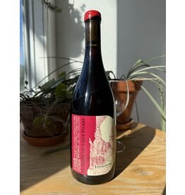 Domaine de Saint Pierre Trousseau 2023
