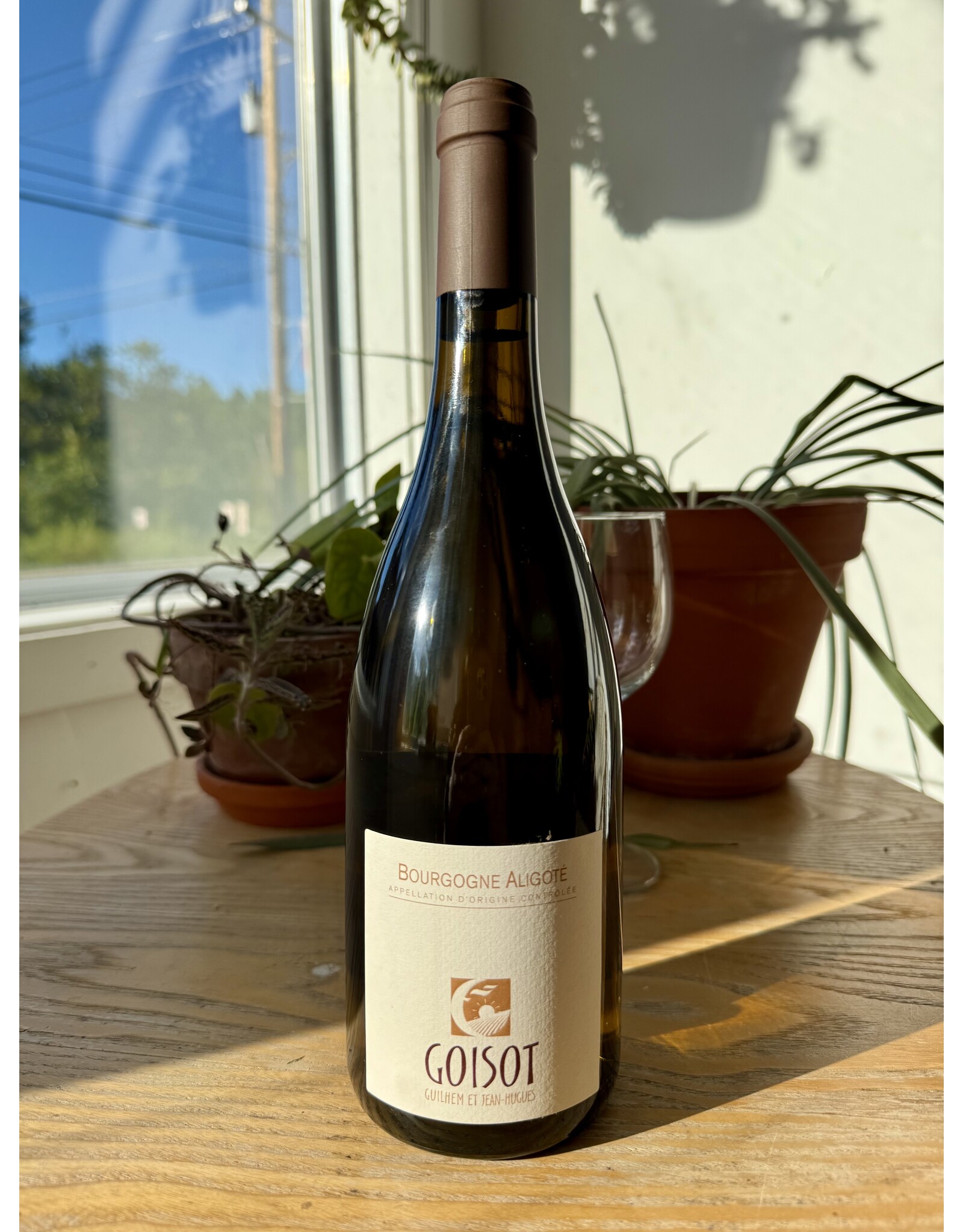 Guilhem et Jean-Hugues Goisot Bourgogne Aligote 2024