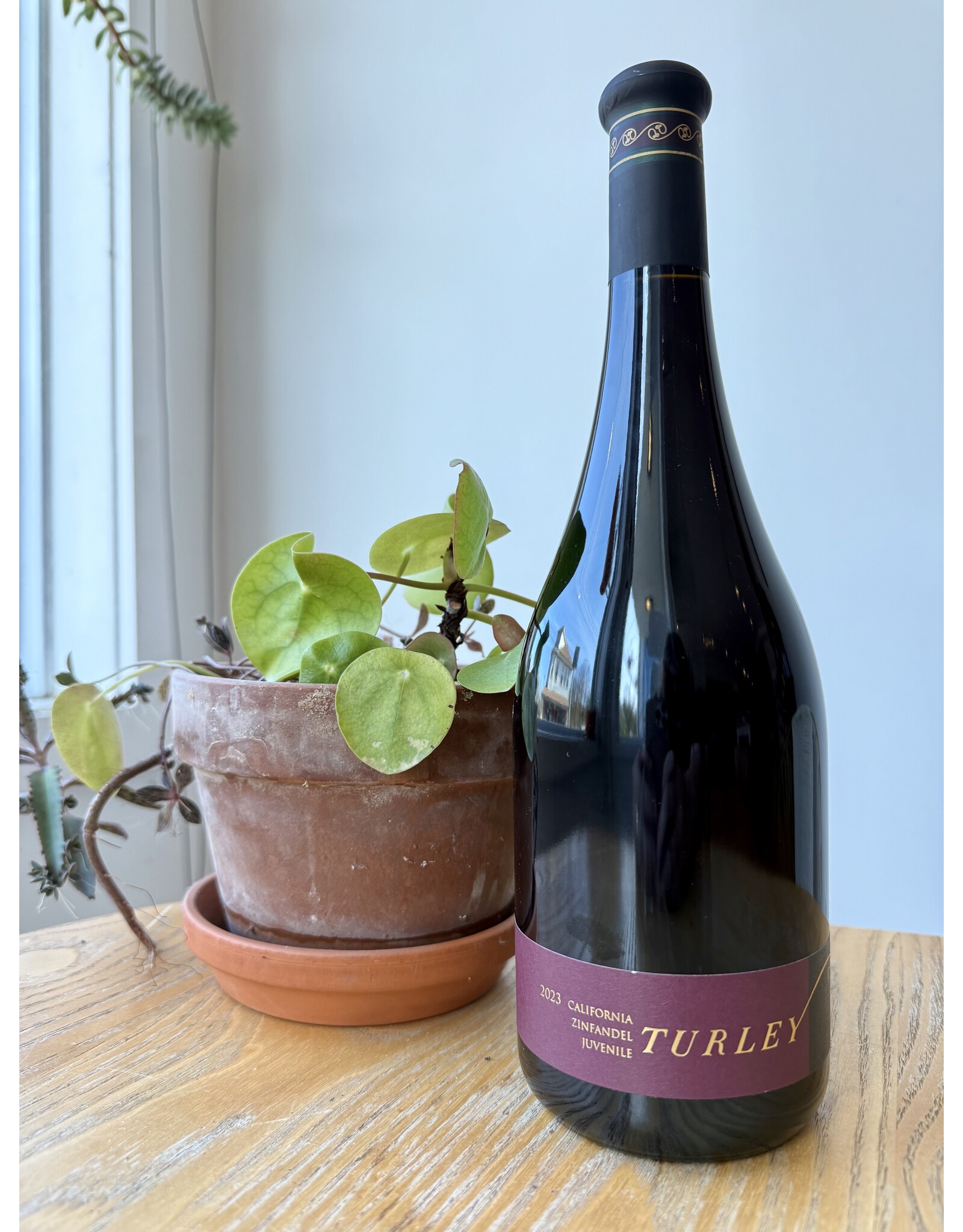 Turley 'Juvenile' Zinfandel 2023