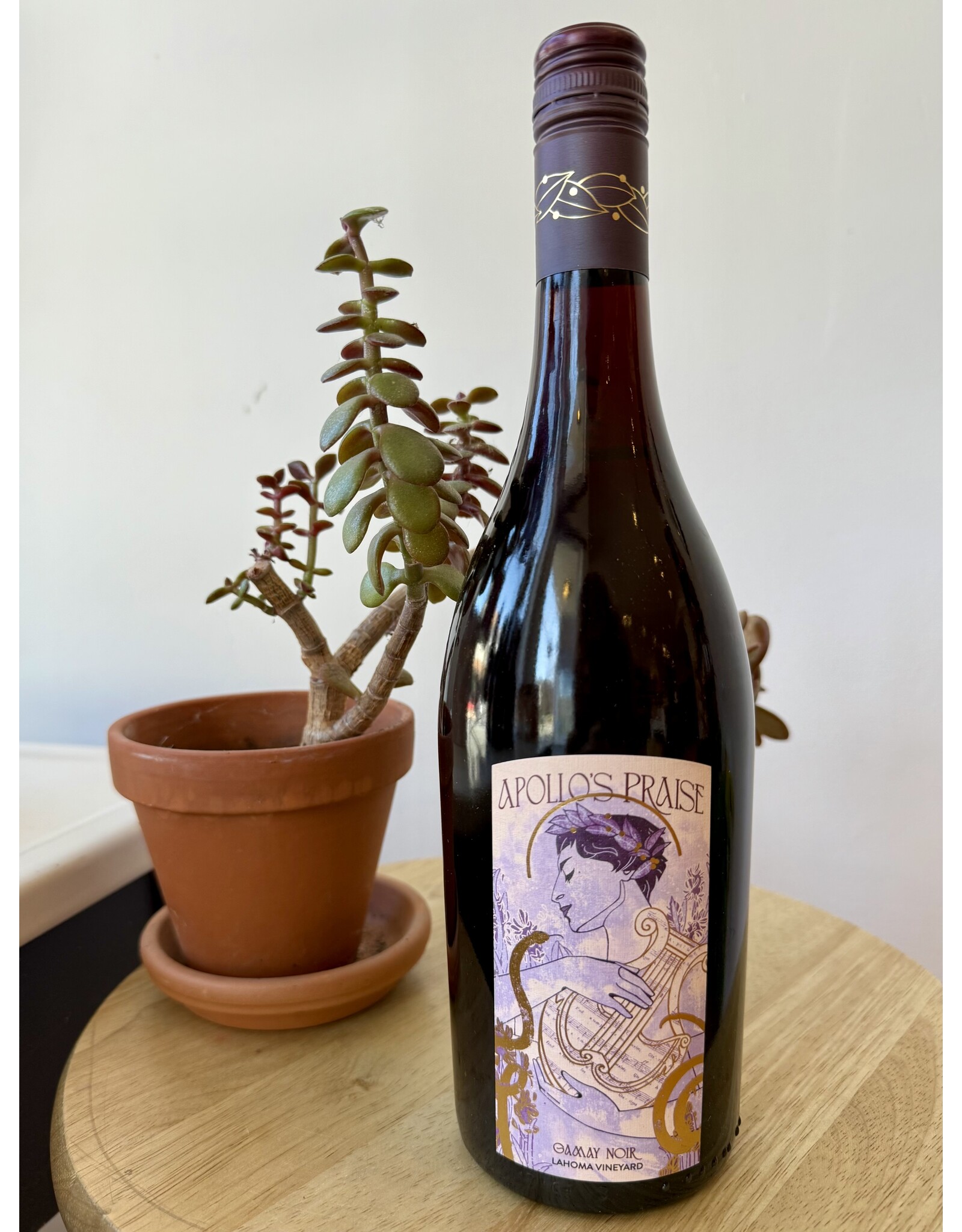 Apollo's Praise Gamay Noir Lahoma Vineyard Finger Lakes 2024