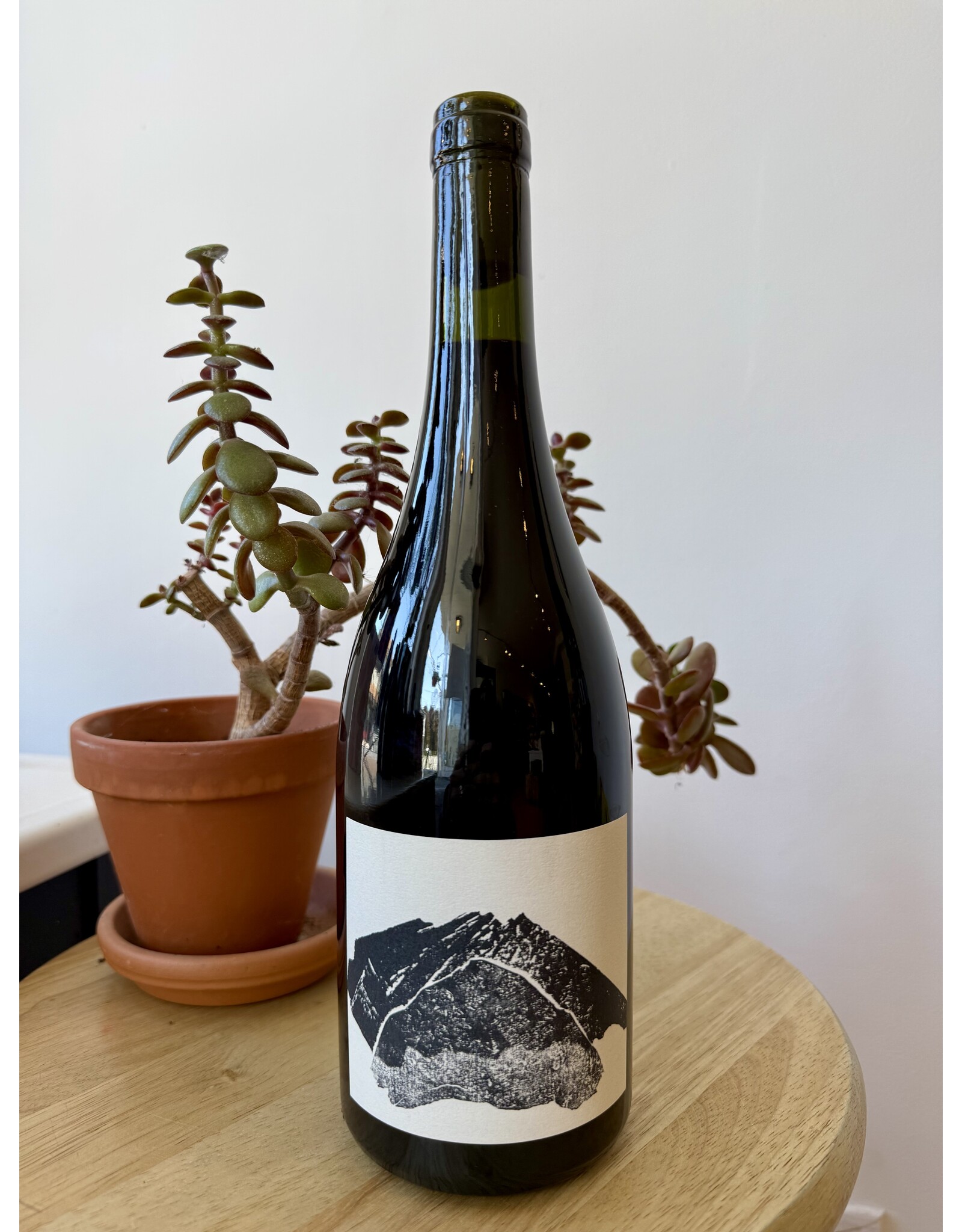 Rocamadre Malbec Mendoza 2023