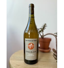 Valentin Morel Les Pieds sur Terre Savagnin en Boutasse Maceration Cotes du Jura 2023