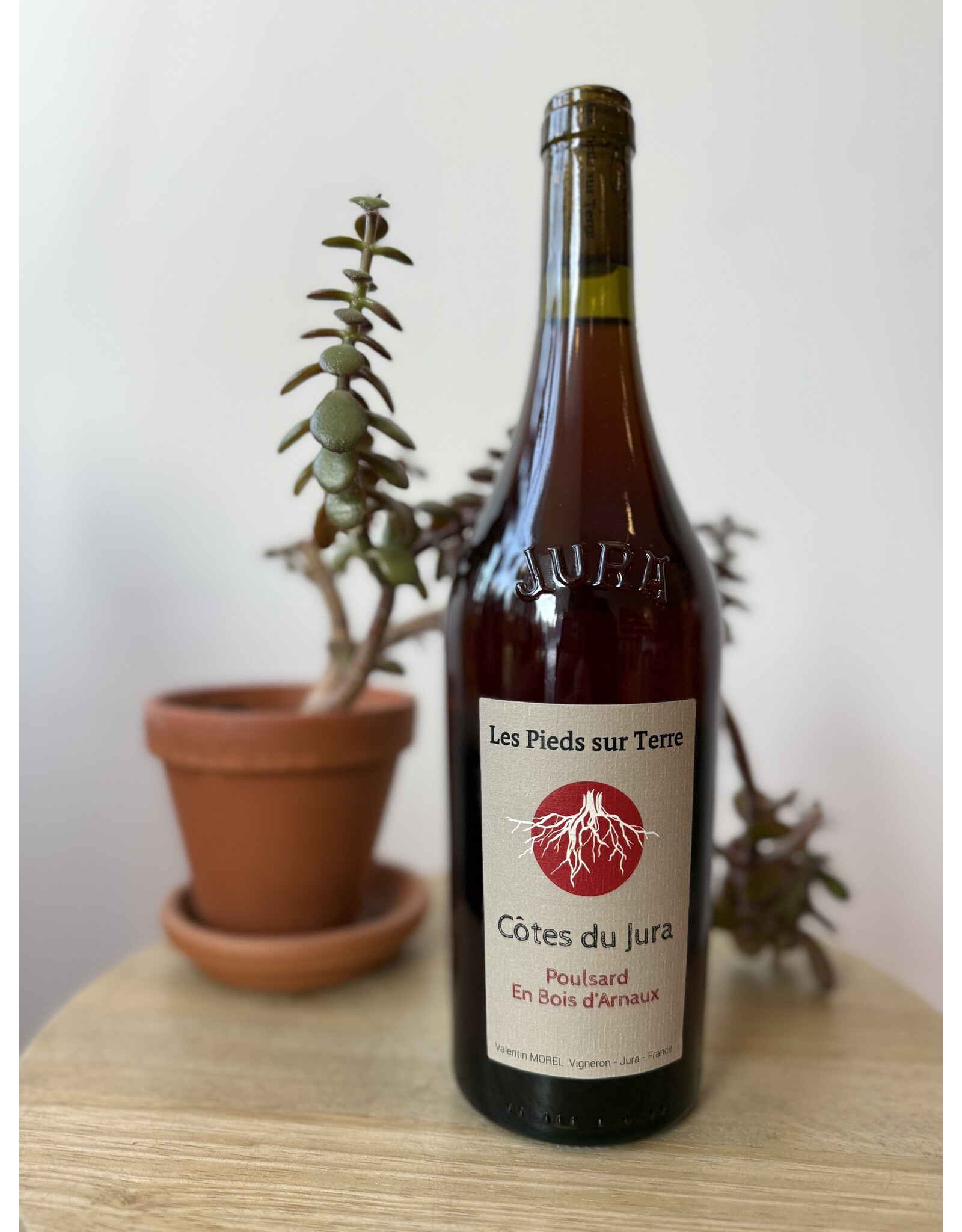 Valentin Morel  Poulsard en Bois d'Arnaux Cotes du Jura 2023
