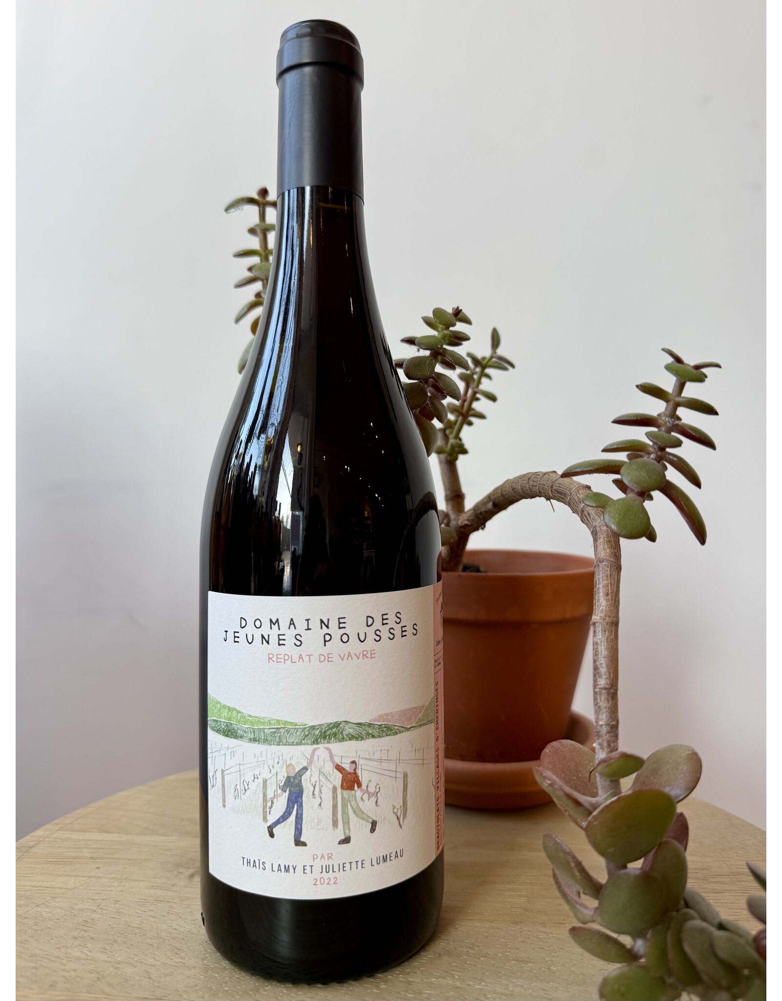 Domaine des Jeunes Pousses "Replat de Vavre" Beaujolais Villages Red 2022