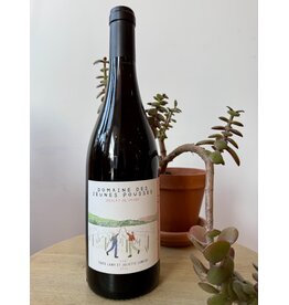 Domaine des Jeunes Pousses "Replat de Vavre" Beaujolais Villages Red 2022