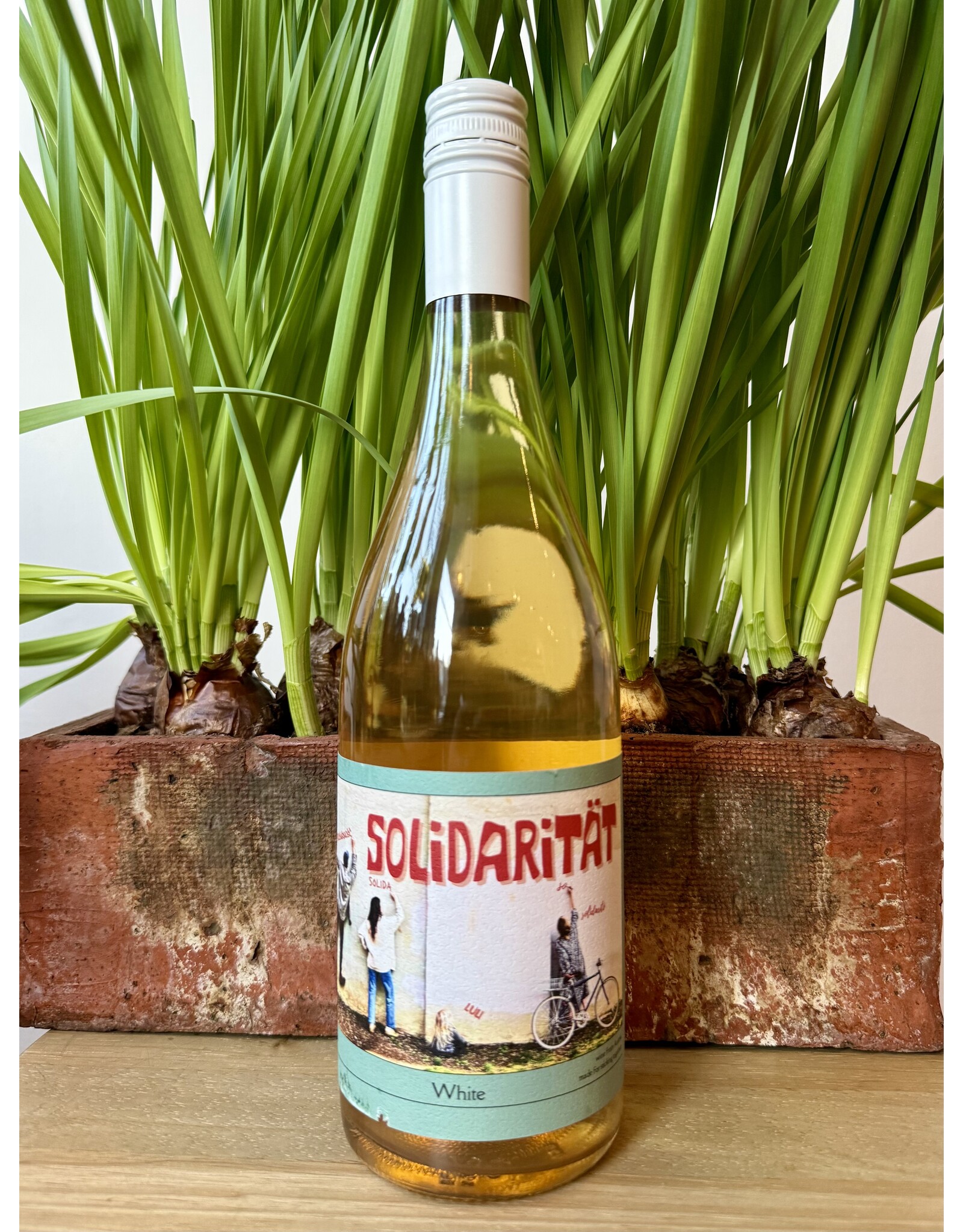 Franz Weninger Solidarität White 2024