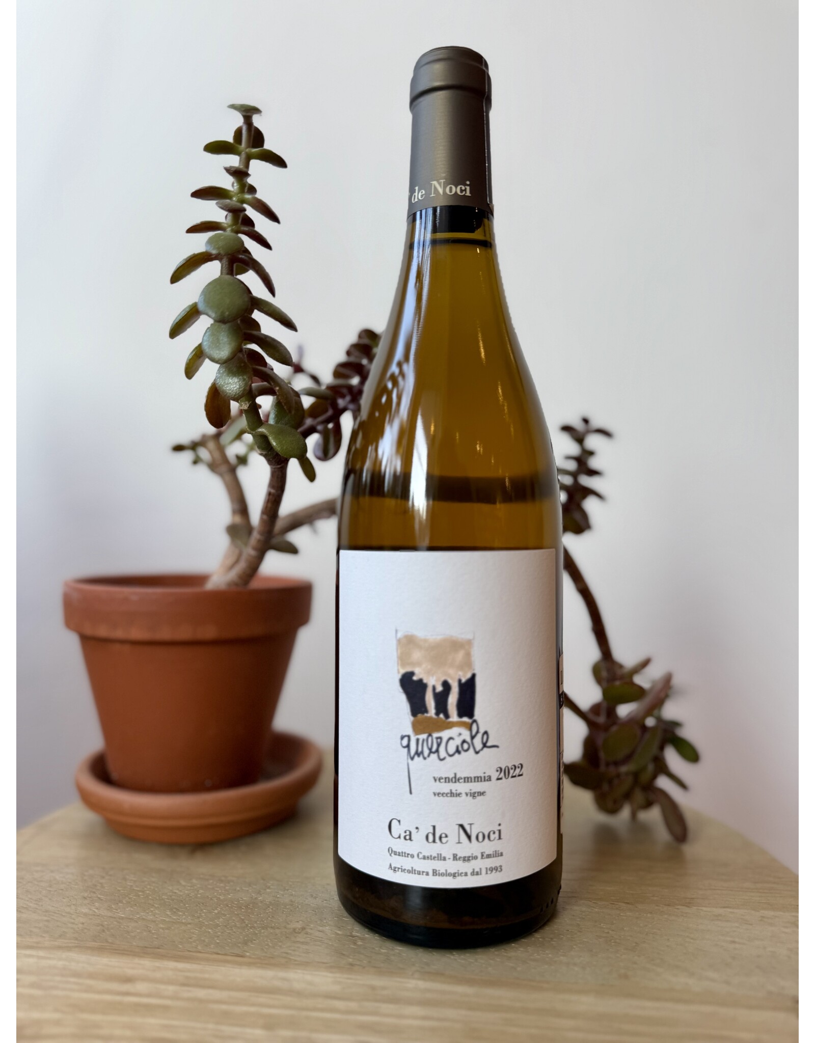 Ca de Noci Emilia Frizzante Querciole Bianco