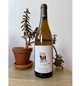 Ca de Noci Emilia Frizzante Querciole Bianco