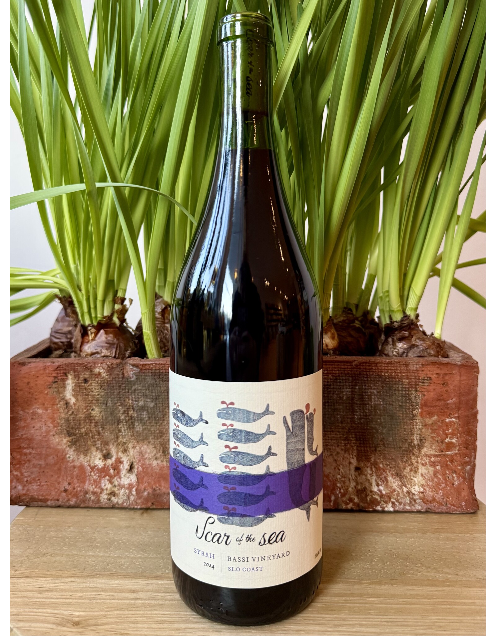 Scar of the Sea Bassi Vineyard Syrah 2024