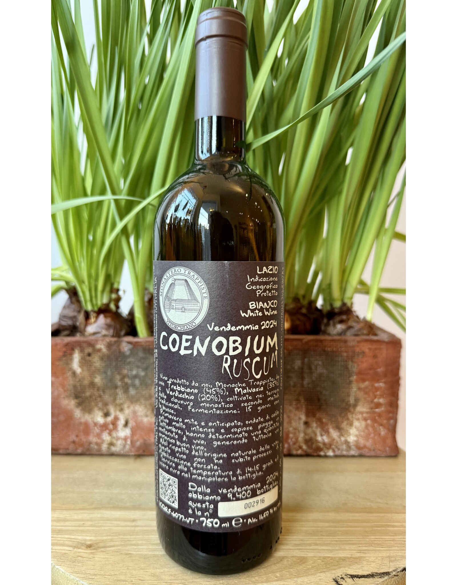 Monastero Suore Cistercensi “Ruscum” Lazio Bianco 2024