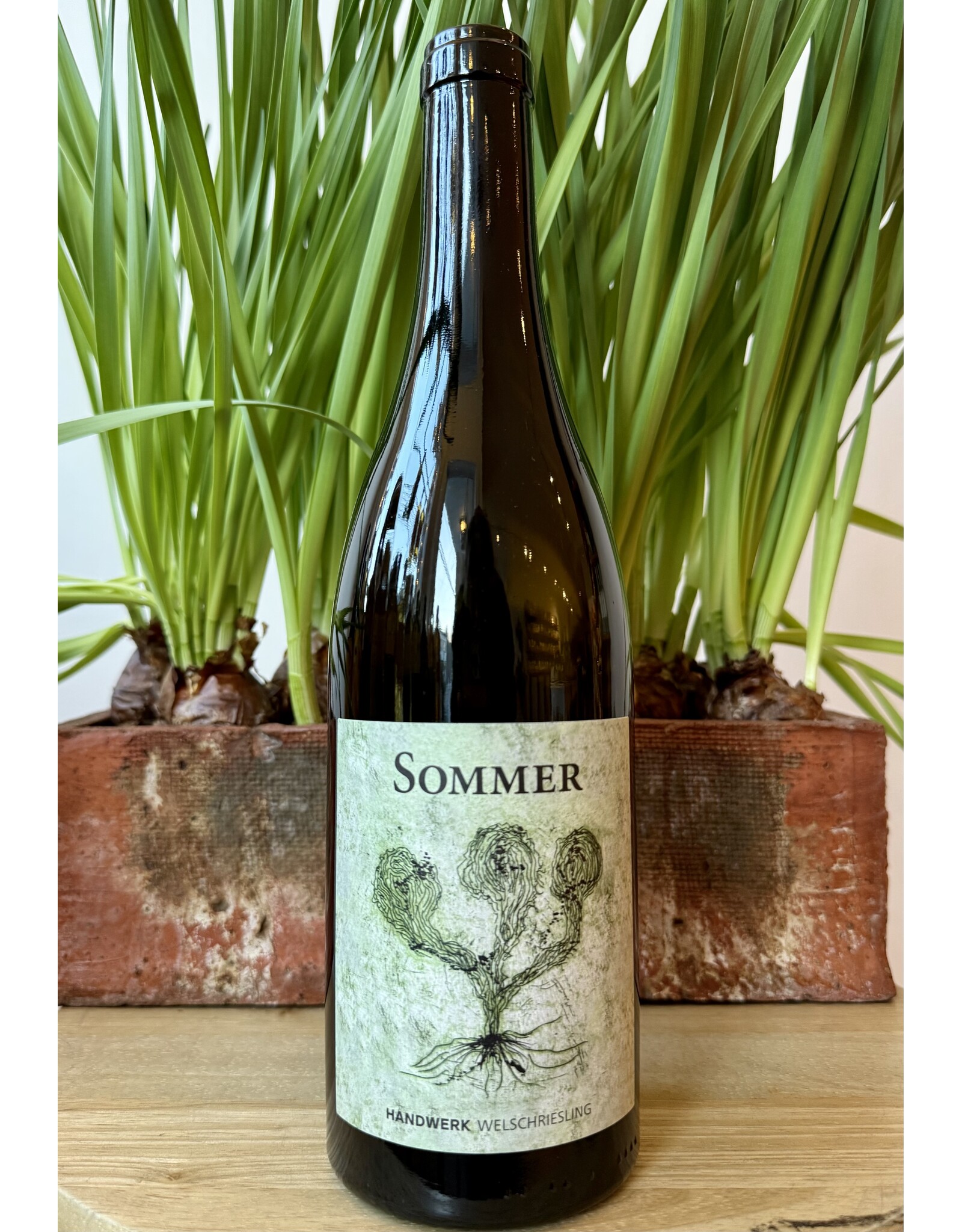 Sommer Handwerk Welschriesling 2022