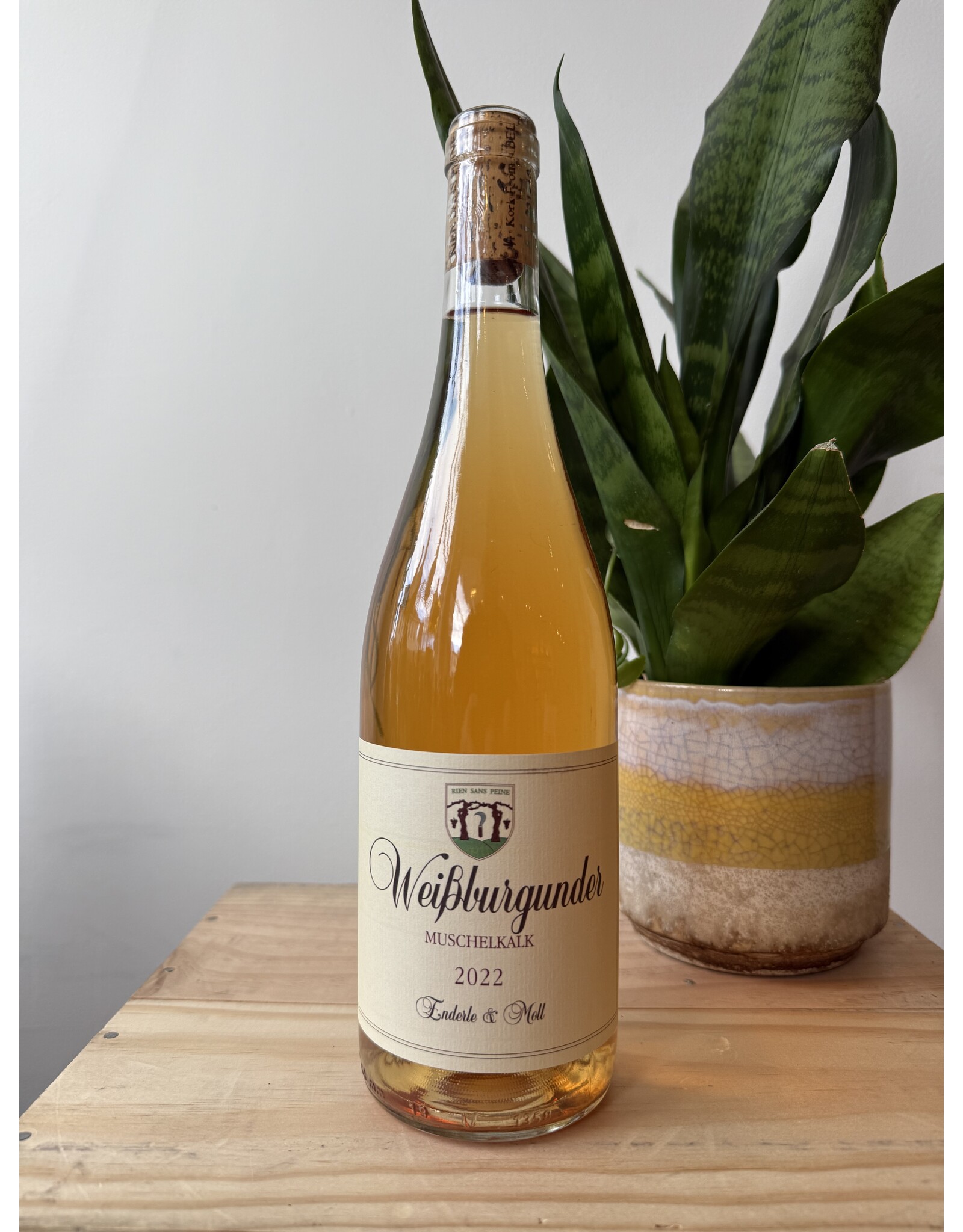 Enderle & Moll Weissburgunder “Muschelkalk” 2022