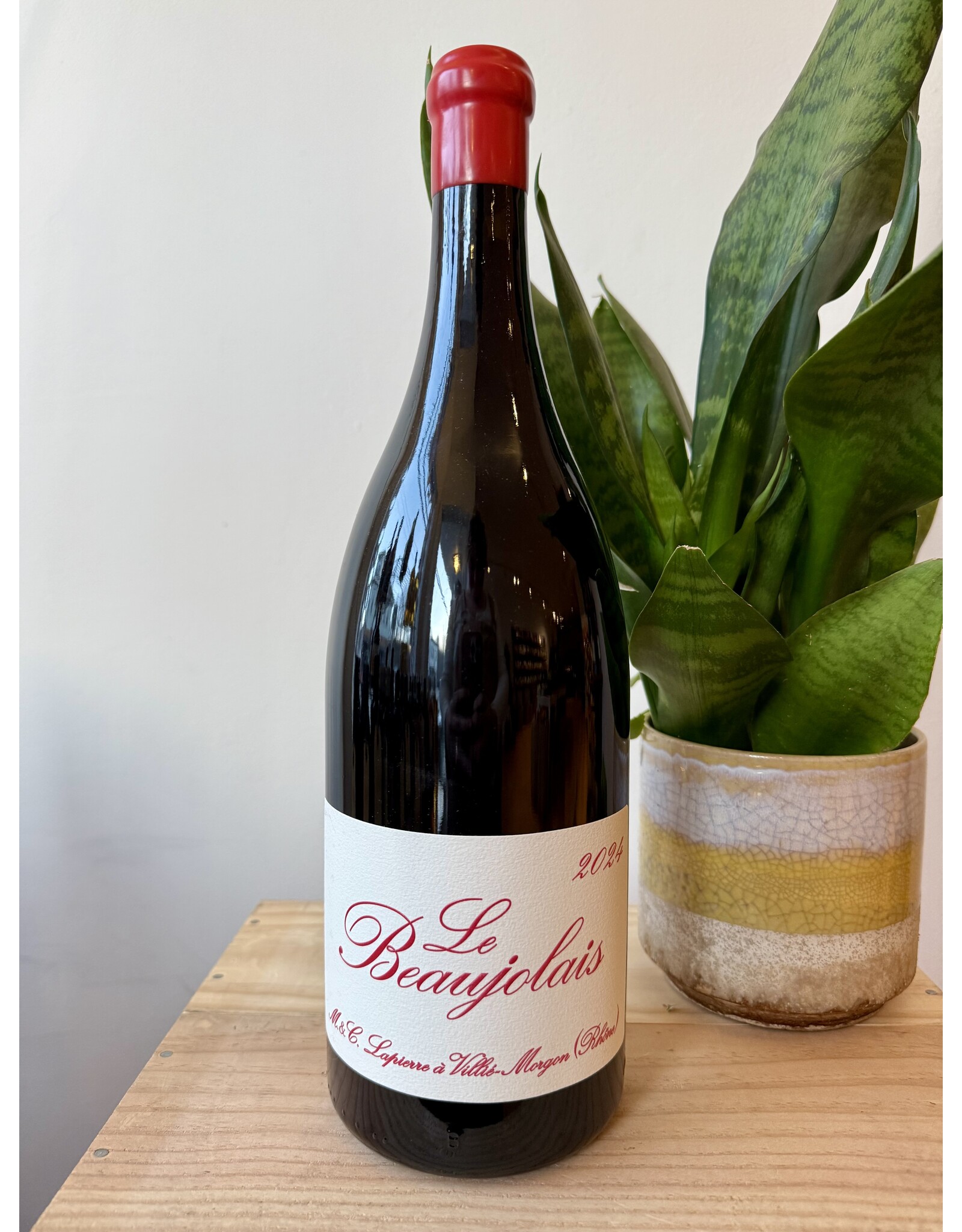 Marcel Lapierre Le Beaujolais Rouge 2024 MAGNUM