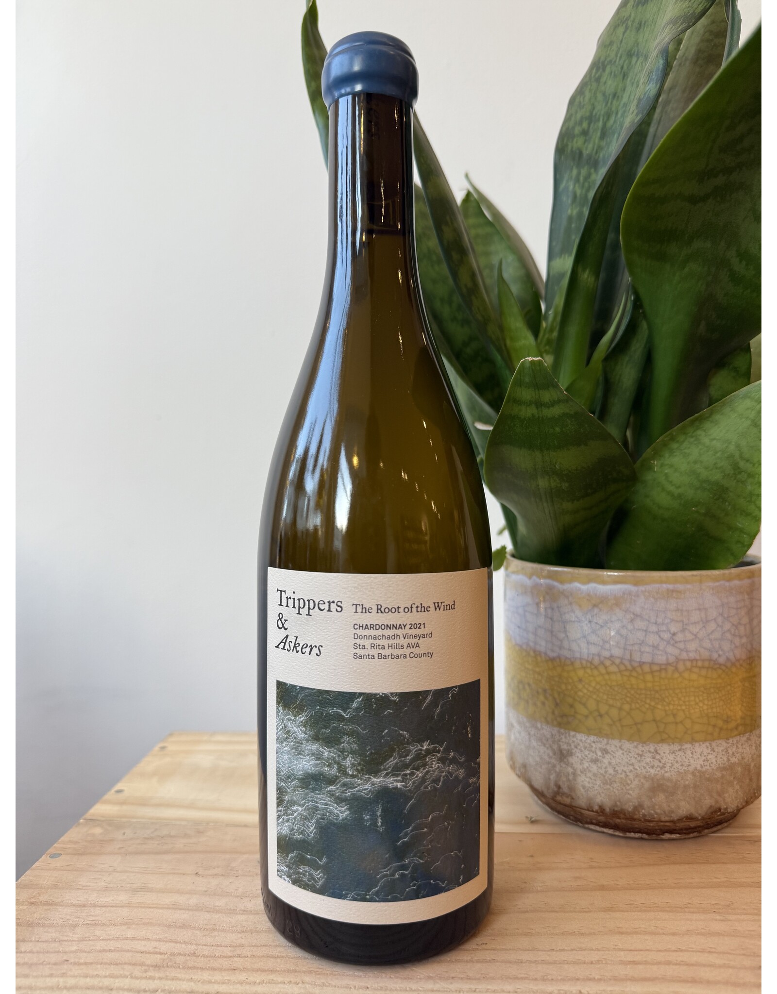 Trippers and Askers "The Root of the Wind" Chardonnay 2021