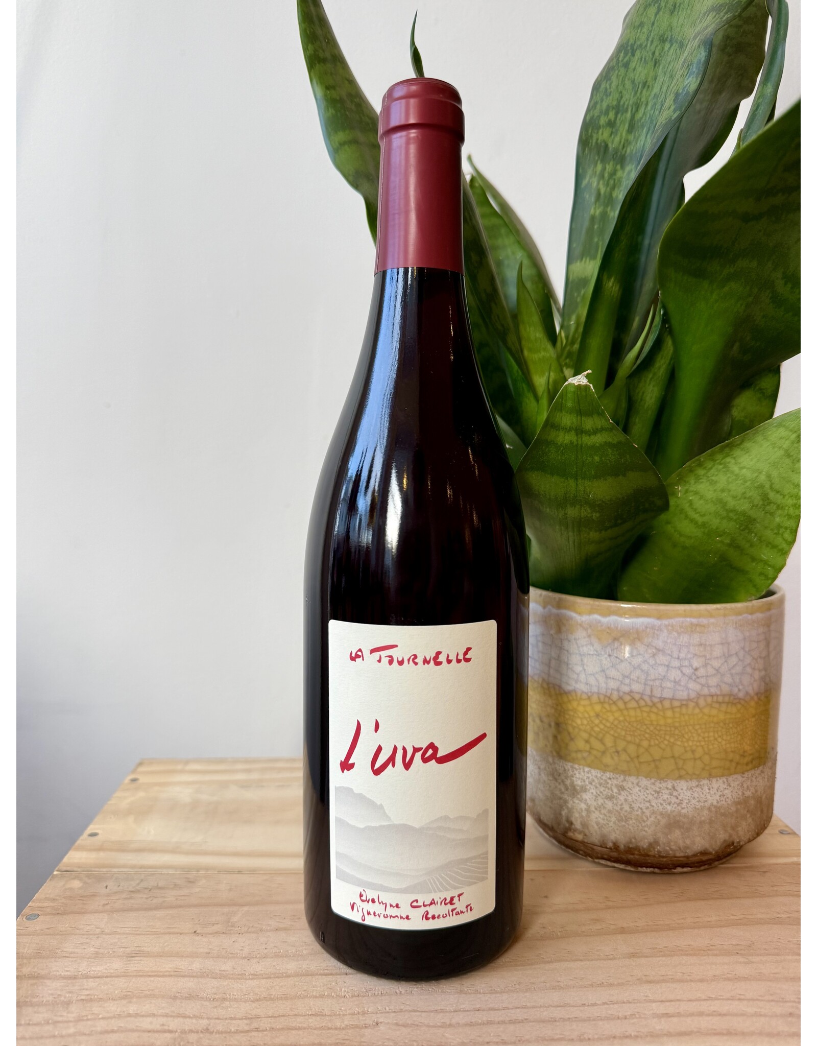 Domaine de la Tournelle Arboisana Trousseau 2023