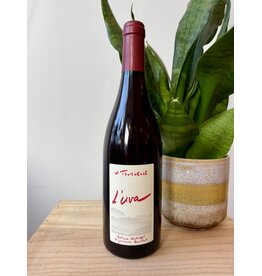 Domaine de la Tournelle Arboisana Trousseau 2023