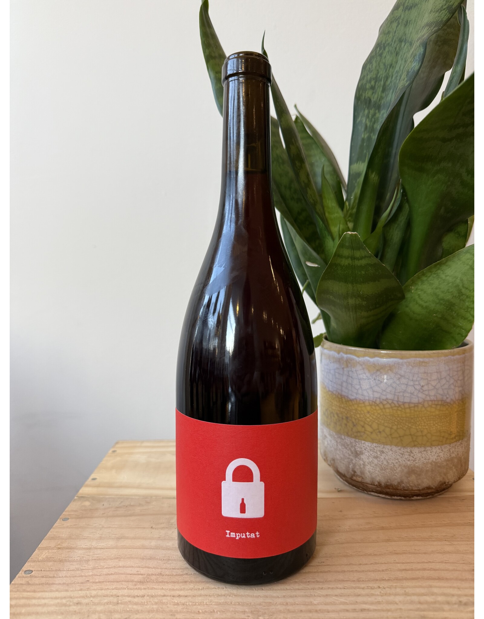 Bodega Clandestina Imputat 2024