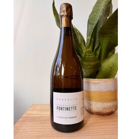 Flavien Nowack Champagne Blanc de Meunier ‘La Fontinette’ Extra Brut 2021