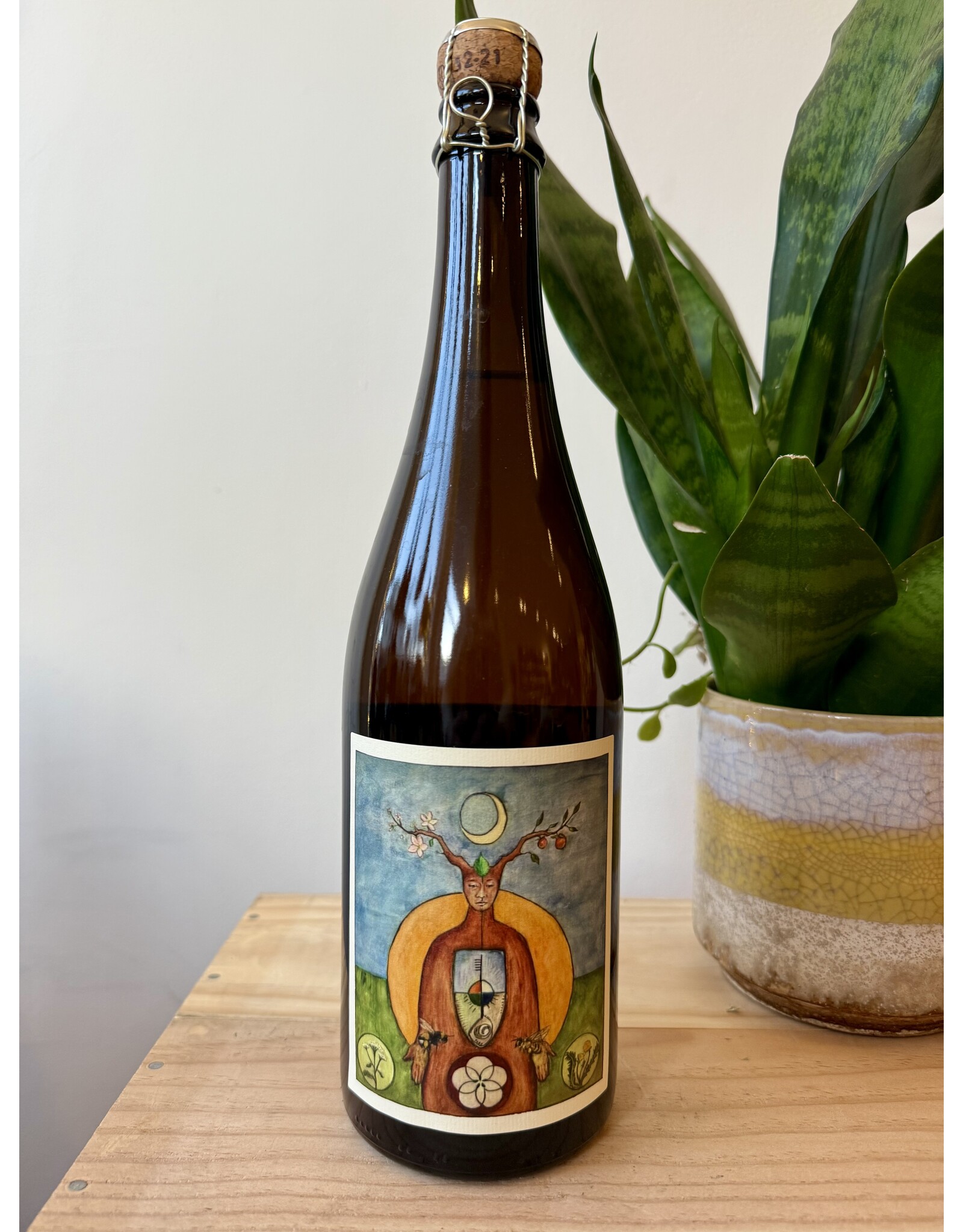 South Hill Cosmos Transformed New York Cider NV