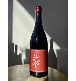 Arnot-Roberts Syrah Sonoma Coast 2024