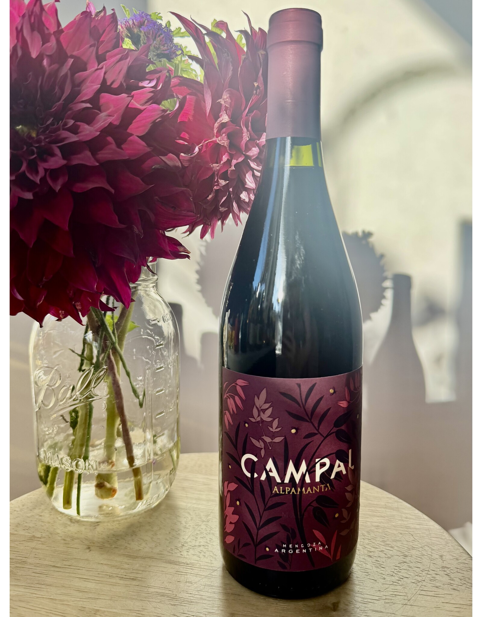 Alpamanta Campal Malbec Mendoza 2024