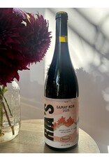 Ria's Wines Gamay Finger Lakes 2025
