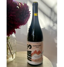 Ria's Wines Gamay Finger Lakes 2025