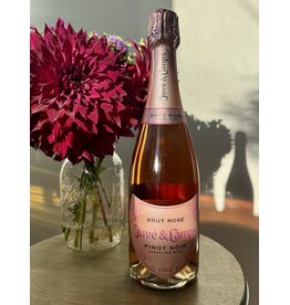 Juve y Camps Brut Rosé Cava