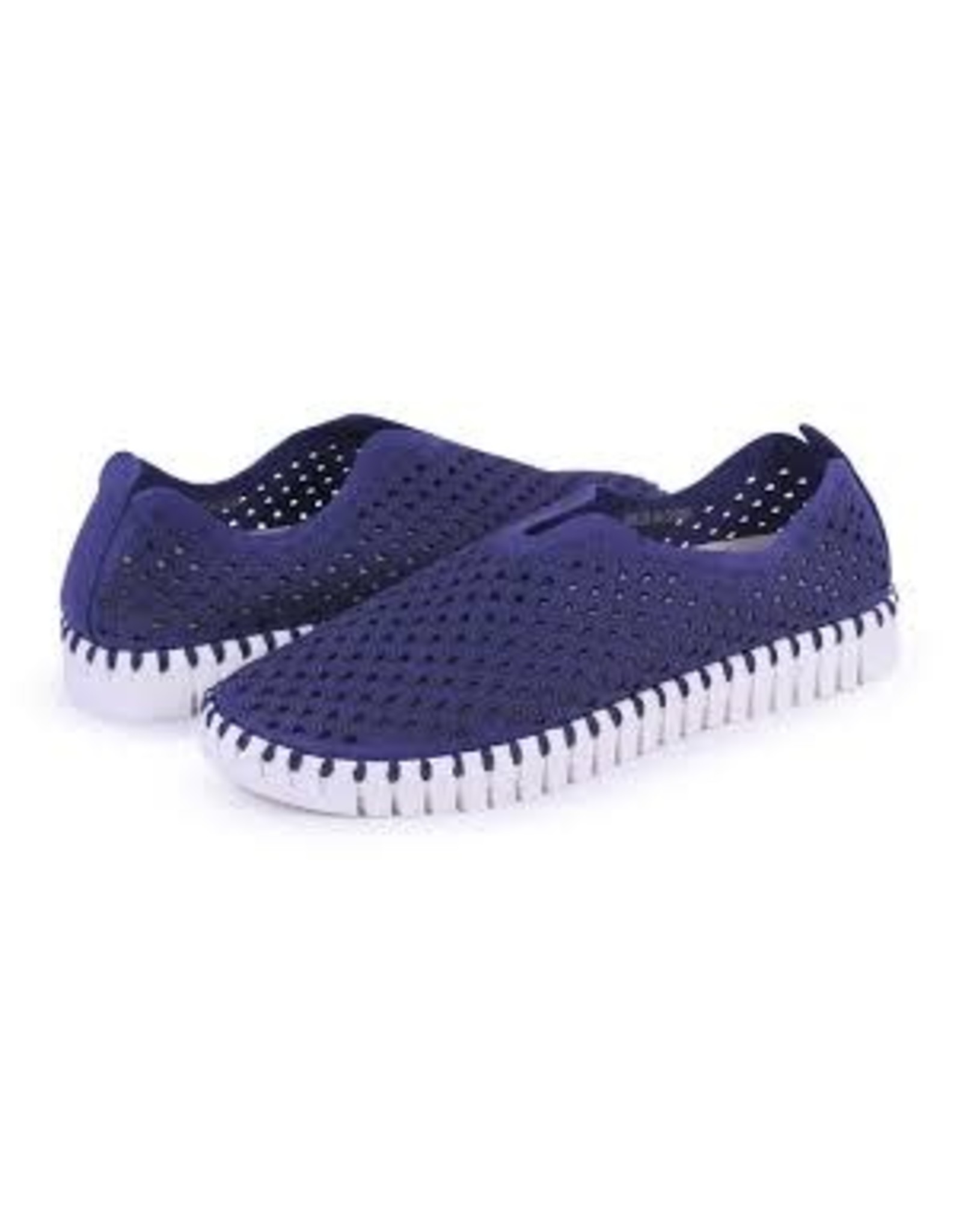 ilse jacobsen tulip shoes canada