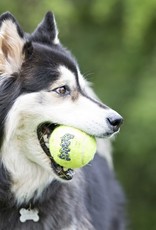 KONG KONG AIR SQUEAKER TENNIS BALL MD