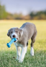 KONG KONG Puppy Goodie Bone Dog Toy - Small