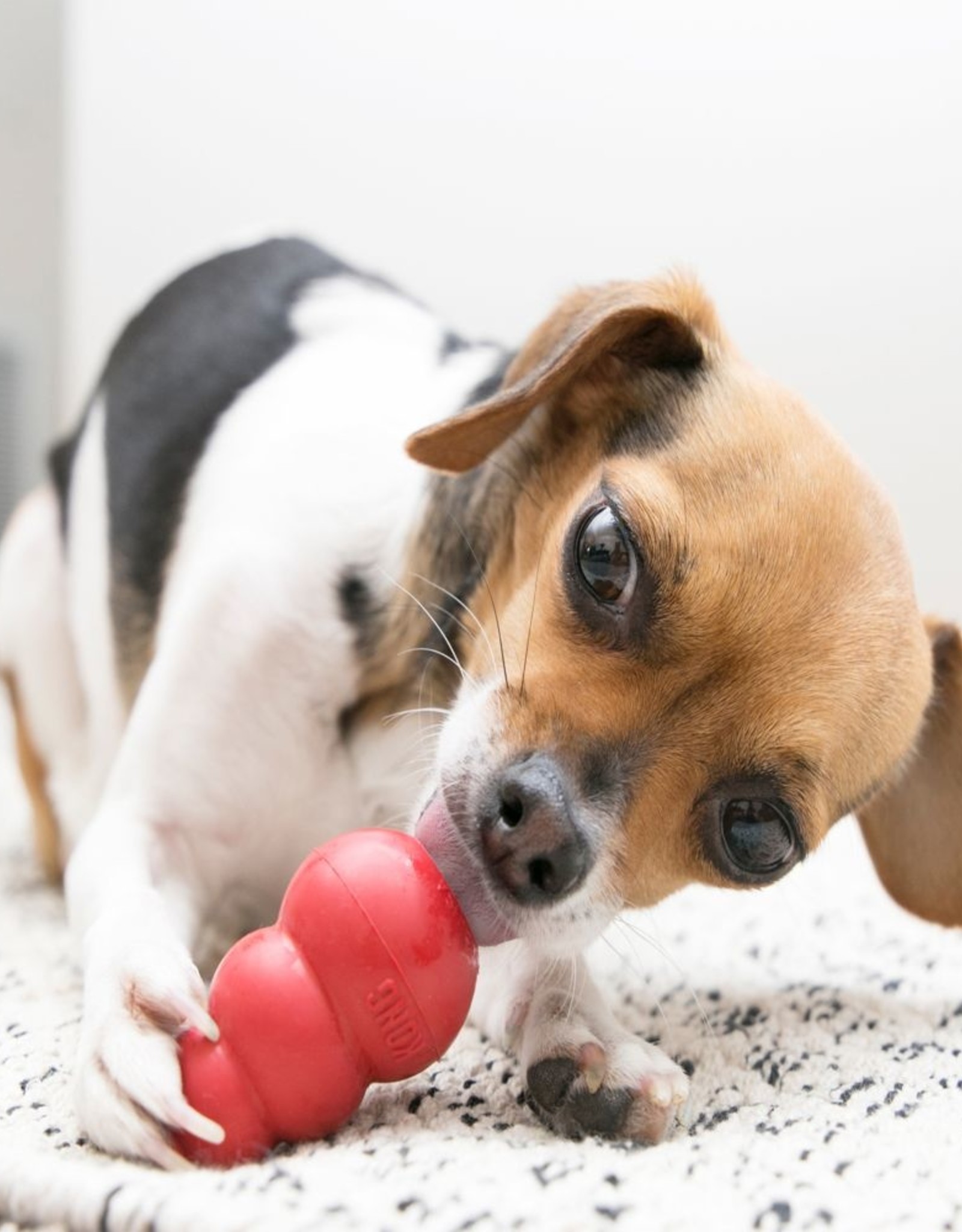 KONG KONG Classic Dog Toy - Classic X-Small