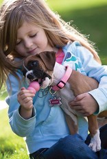 KONG KONG Puppy Dog Toy - Blue, Small