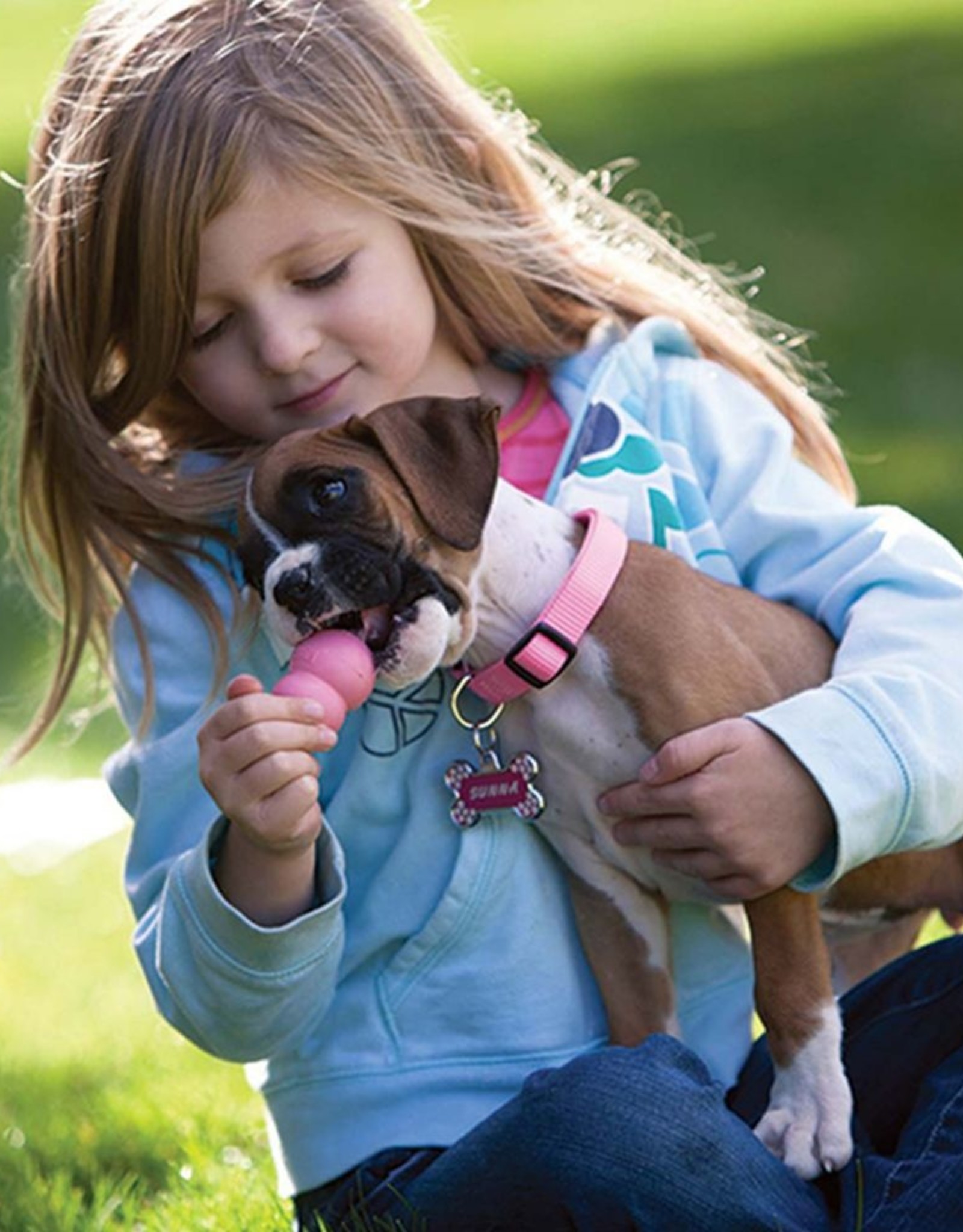 KONG KONG Puppy Dog Toy - Blue, Small